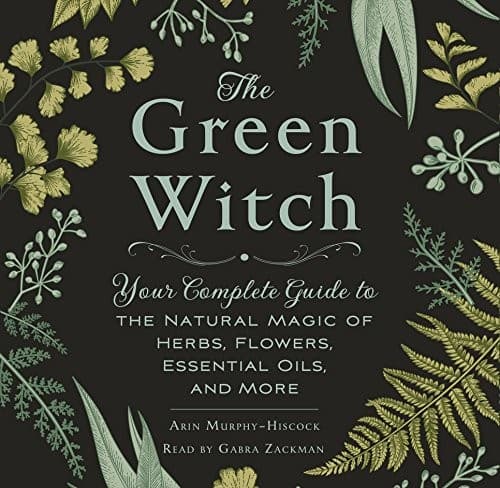 Tapa de The Green Witch
