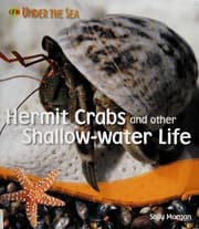 Tapa de Hermit crabs and other shallow-water life