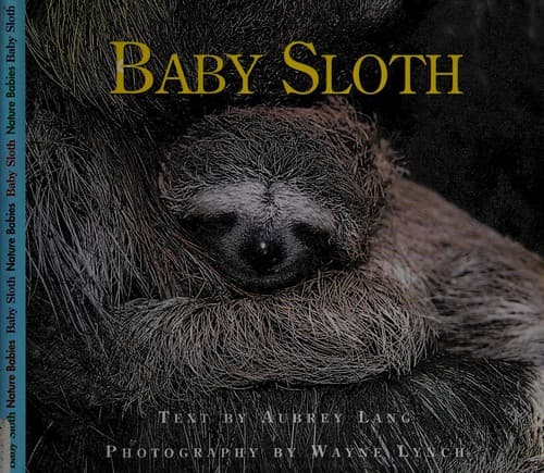 Tapa de Baby sloth