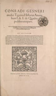 Tapa de Conradi Gesneri medici Tigurini Historiæ animalium Lib. I. de quadrupedibus uiuiparis : opus philosophis, medicis, grammaticis, philologis, poëtis, & omnibus rerum linguarumq́; uariarum studiosis, utilissimum simul iucundissimumq́; futurum ...