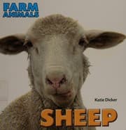 Tapa de Sheep
