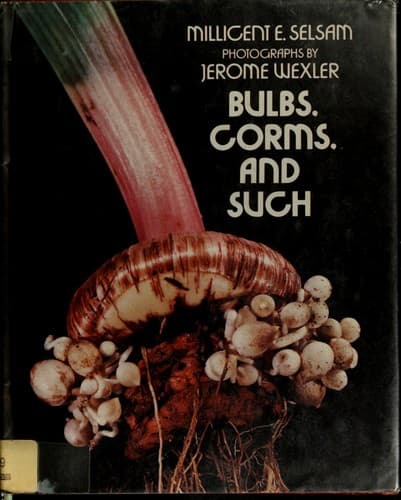 Tapa de Bulbs, corms, and such