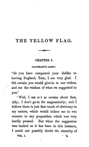 Tapa de The yellow flag