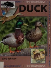 Tapa de Duck