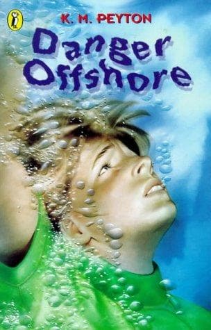 Tapa de Danger Offshore (Surfers)
