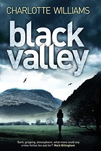 Tapa de Black Valley