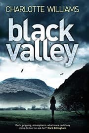 Tapa de Black Valley