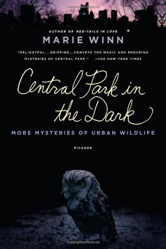 Tapa de Central Park in the Dark