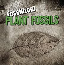 Tapa de Plant fossils