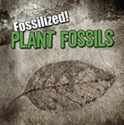 Tapa de Plant fossils