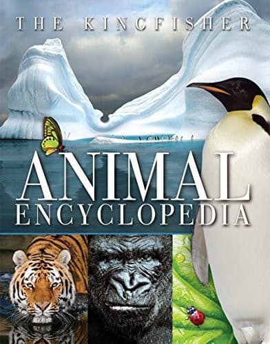 Tapa de Kingfisher Animal Encyclopedia