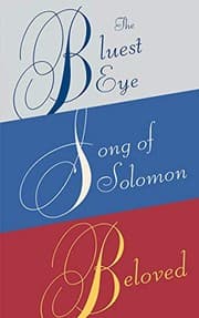 Tapa de Novels (Beloved / Bluest Eye / Song of Solomon)