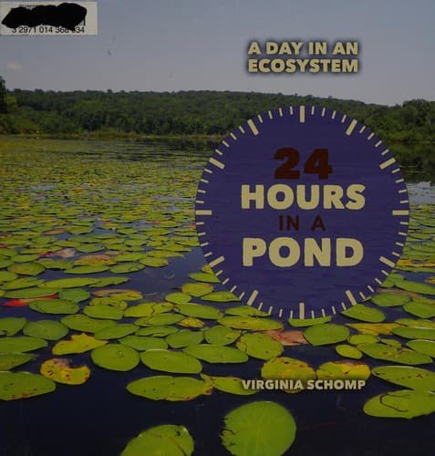 Tapa de 24 hours in a pond