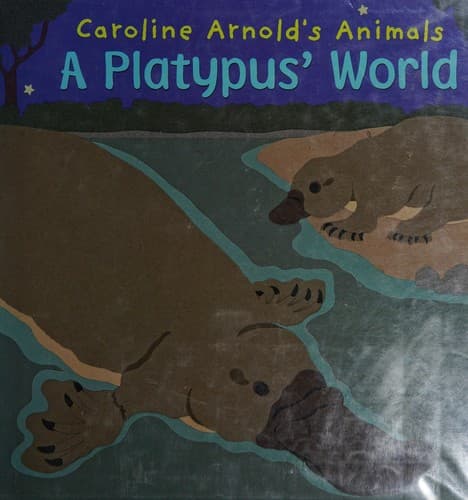 Tapa de A platypus' world