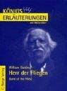 Tapa de Herr der Fliegen