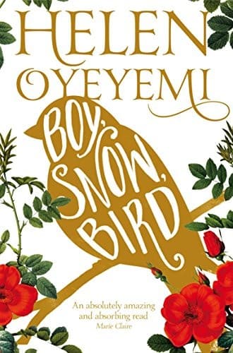 Tapa de Boy, Snow, Bird