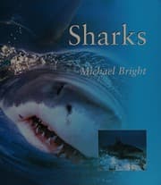 Tapa de Sharks