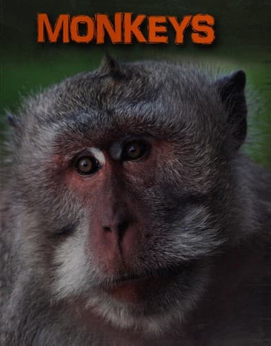 Tapa de Monkeys