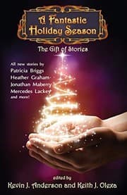 Tapa de A Fantastic Holiday Season