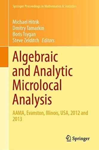 Tapa de Algebraic and Analytic Microlocal Analysis
