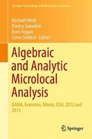 Tapa de Algebraic and Analytic Microlocal Analysis
