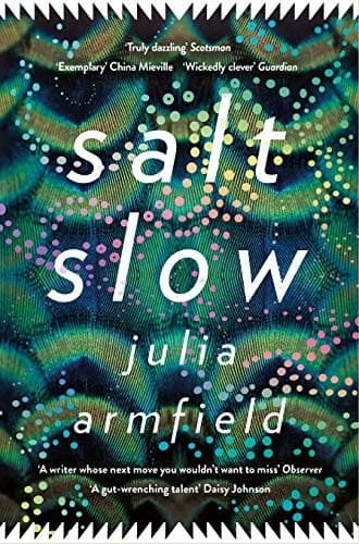Tapa de salt slow