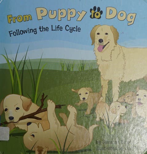 Tapa de From puppy to dog