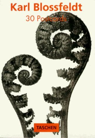 Tapa de Karl Blossfeldt