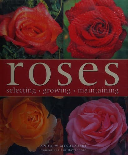 Tapa de Roses