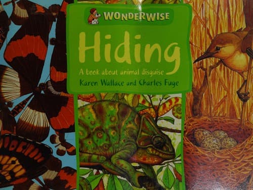 Tapa de Hiding (Wonderwise)