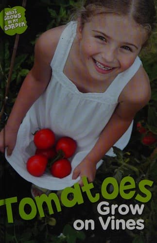 Tapa de Tomatoes grow on the vine