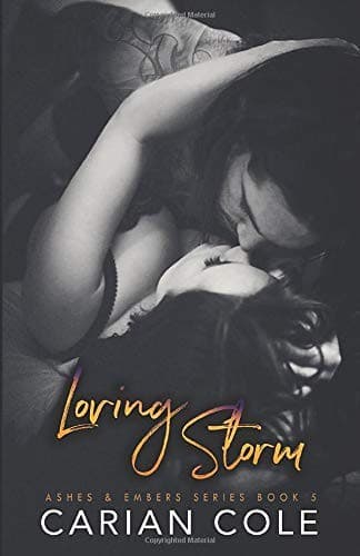 Tapa de Loving Storm
