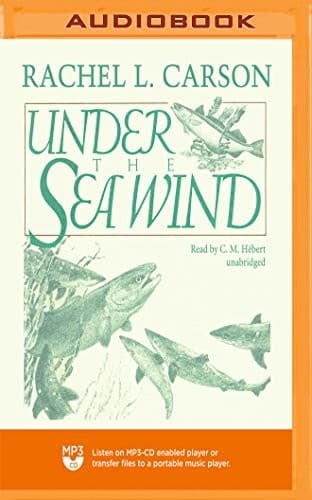 Tapa de Under the Sea Wind