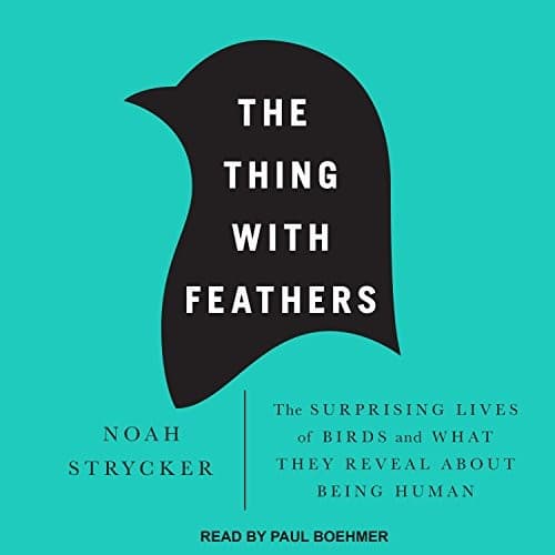 Tapa de The Thing with Feathers
