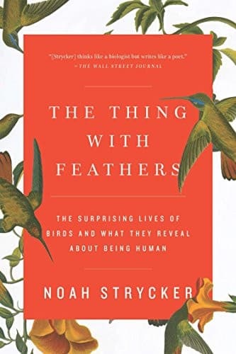 Tapa de The Thing with Feathers