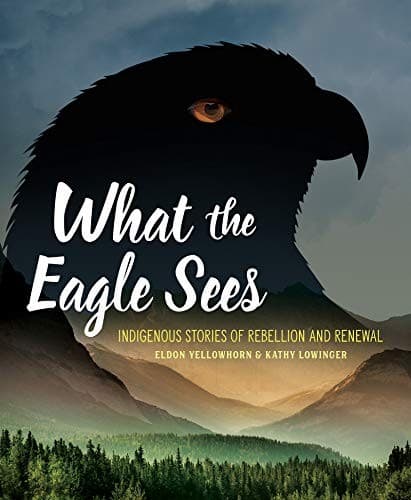 Tapa de What the Eagle Sees