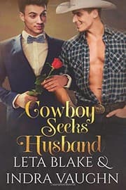 Tapa de Cowboy Seeks Husband