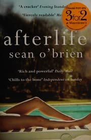 Tapa de Afterlife