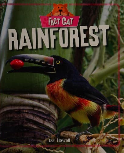 Tapa de Rainforest