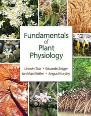Tapa de Fundamentals of Plant Physiology