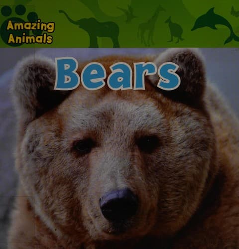 Tapa de Bears