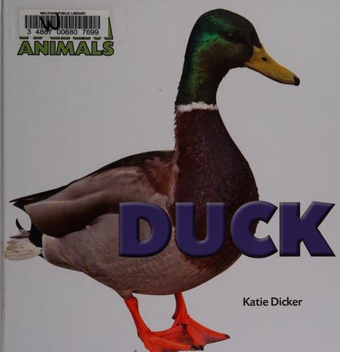 Tapa de Duck