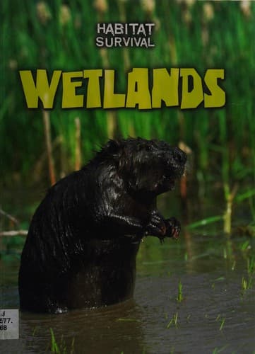 Tapa de Wetlands
