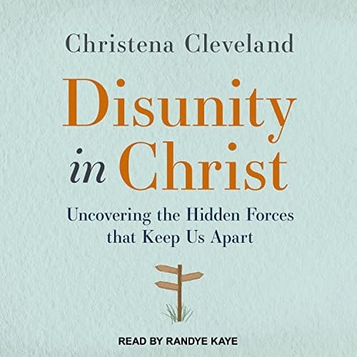 Tapa de Disunity in Christ