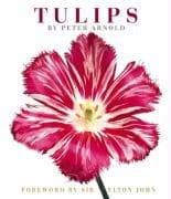 Tapa de Tulips
