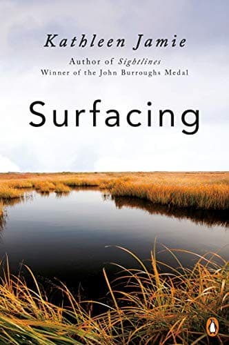 Tapa de Surfacing