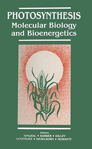 Tapa de Photosynthesis
