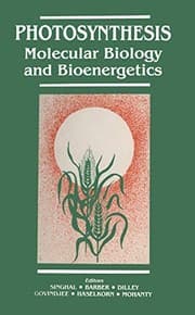 Tapa de Photosynthesis