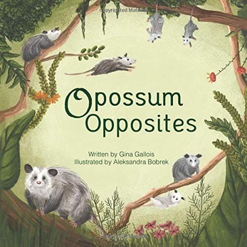 Tapa de Opossum Opposites