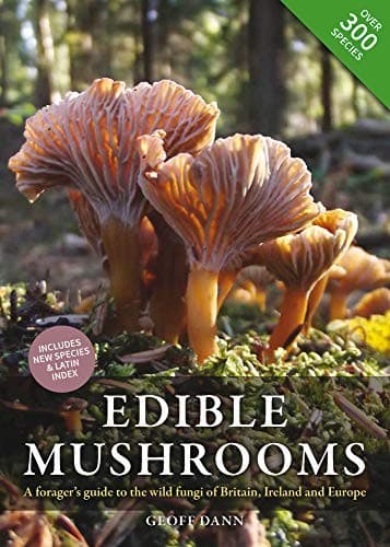 Tapa de Edible Mushrooms
